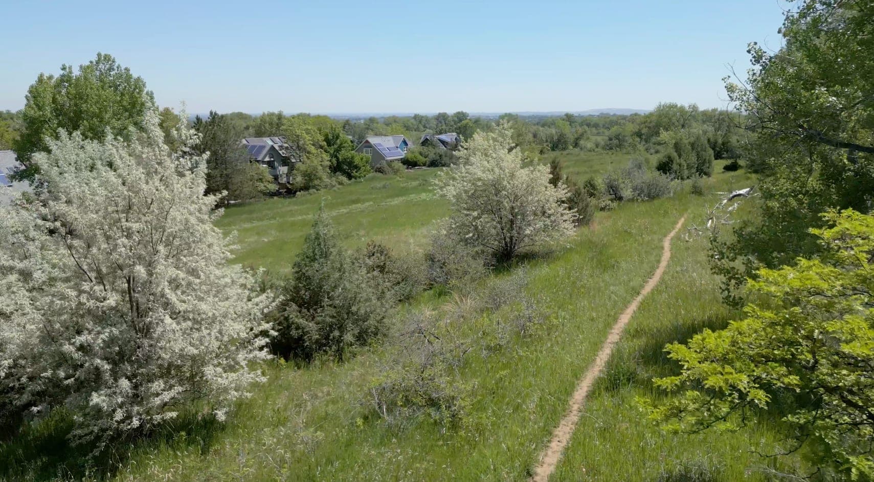 Nyland community connection