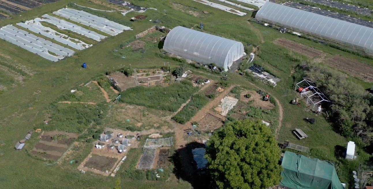 Greenhouse
