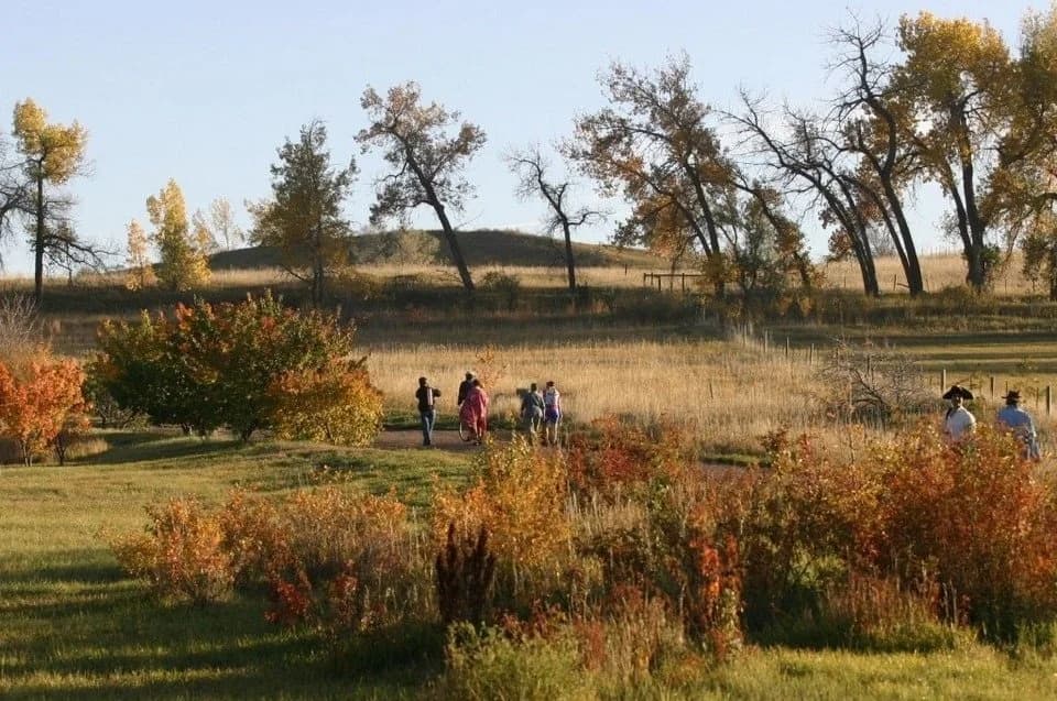 Open space at Nyland